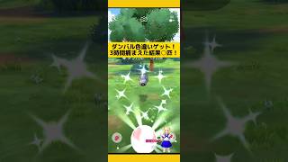 ダンバルコミュデイ3時間で捕まえた色違い結果！今回は確率低め？#ポケモンgo #ダンバル#メタグロス #コミュニティデイ #色違い #pokemongo #新道ひかり