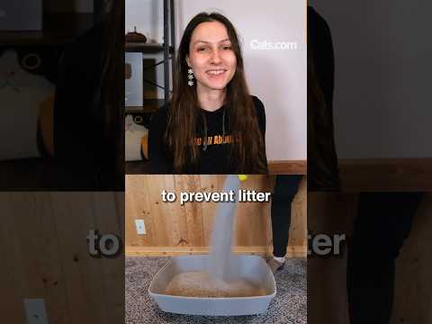 How To Chose The Right Sized Litter Box #Shorts #catvideos #cathealth