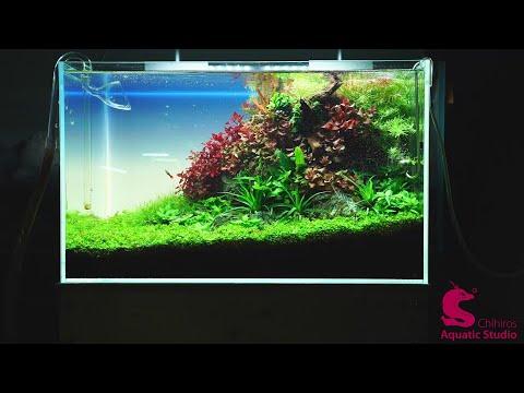 Chihiros new 60cm tank in CIPS 2020 RGB VIVID2 SILVER