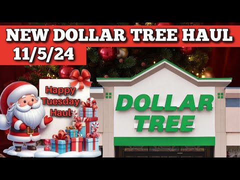 Watch My Latest Dollar Tree Finds From 11/5/24!