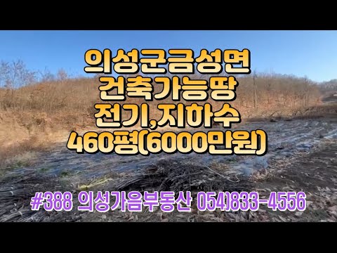 #388 의성가음부동산 계곡안 확트인 채전밭 460평 6000만 ( 당13만원) 전기가능 건축가능 계획관리지역 공용지하수사용 쉼터 주말농장용 #의성땅#의성토지#전원생활#의성토지매매