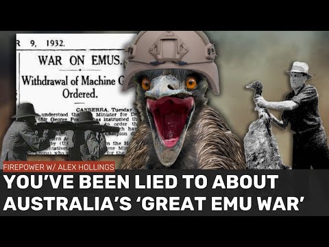 It's time to stop pretending Australia LOST the 'Great Emu War'