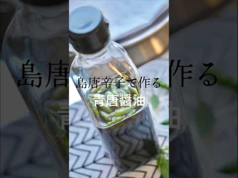 島唐辛子で作る青唐醤油 #shorts #島唐辛子 #青唐辛子 #青唐醤油 #自家製 #調味料 #手作り