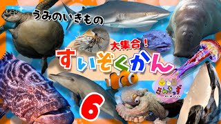 水族館へ行こう！6【子供向け 海のいきものアニメ】海の生き物 お魚さんたちが大集合！ウミガメ イルカ サメなど人気の生き物から面白い 深海魚 まで16種類の名前を覚えよう【知育動画】