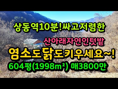 밀양 자연인 아지트 산자락텃밭~염소도 닭도 키우세요 매3800만