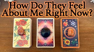 💕WHAT DOES HE/SHE THINK AND FEEL ABOUT ME RIGHT NOW?💕| 🔮Pick A Card🔮 | Love Tarot Reading (Timeless)