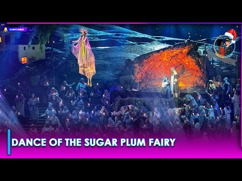 Dance Of The Sugar Plum Fairy