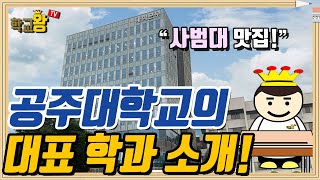 [공주대학교] 학과 소개! 역시 공주대 대표 학과는 이거지!