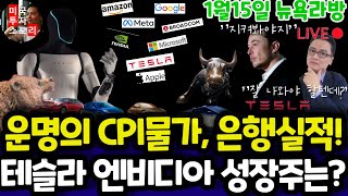 미국주식/CPI소비자물가지수/옵티머스 로봇의 미래/테슬라 엔비디아 구글 애플 아마존 메타 마이크로소프트 팔란티어 아이온큐 리게티 JPM GS등 $tsla #tesla