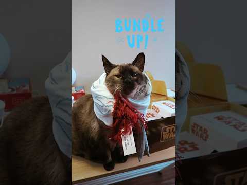 Cat Rocks Star Wars Wampa Arm Scarf! #unboxing