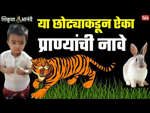 प्राण्यांची मराठी नावे | Animals Name In Marathi | Kids Activity In Marathi | Kids Funny Video