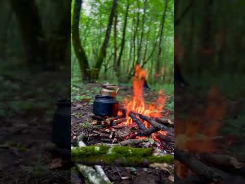 Tea party in woods #teaparty #nature #mountains