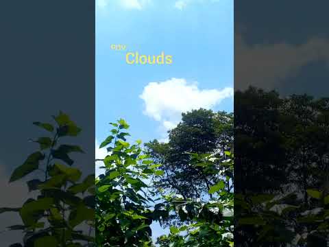 Sunroof - Aesthetic clouds #aesthetic #cloudlovers #pov #shortvideo #shorts #ytshorts