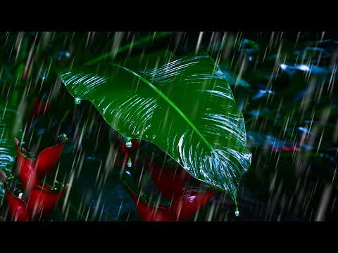 Best Rainforest Sounds for Sleeping! Rain Noise Sleep Sounds 10 Hours