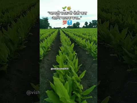 शेती करा आणि मालक बना 💯🔝 #shetkari_raja #shetkaribusiness #shetkariputra#viral #agriculture #farming