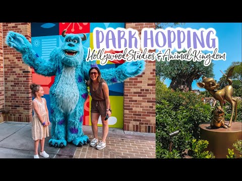 PARK HOPPING IN DISNEY WORLD VLOG| Hollywood Studios & Animal Kingdom Vlog| Tres Chic Mama