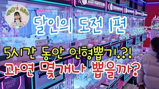 5시간동안 인형뽑기를 해봤다고?!?! '달인의 도전'1편ㅋㅋㅋㅋㅋㅋ