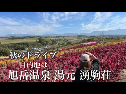 [Vividly colored drive through autumn leaves in Hokkaido]