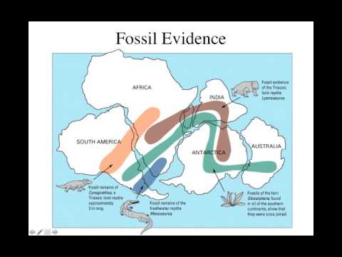 Pangaea and Continental Drift