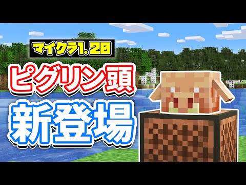 【マイクラ1.20】ピグリンの頭が新登場＆音符ブロックでモブの音が再生可能に！？バイオーム変更コマンド(fillbiome)など詳しく解説！【マインクラフト1.20】SNAPSHOT 22W46A