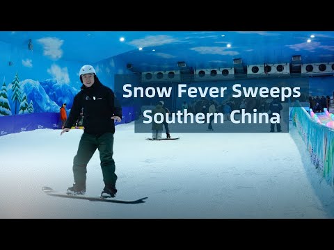 Shenzhen's snow craze: Winter thrills in the warm south