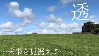 【サマーセール4日目】  本日から折り返し☘️☘️全ての馬に良き御縁があることを願います☘️☘️