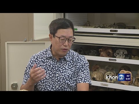 UH Manoa professor unearths a new species of human