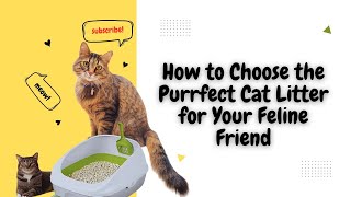 How to Choose the Purrfect Cat Litter | for Your Feline Friend