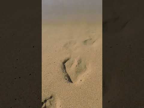 Sunset Shadows: Eerie Beach Footprints Reveal a Creepy Secret #eeriestories #horrorstory #scary