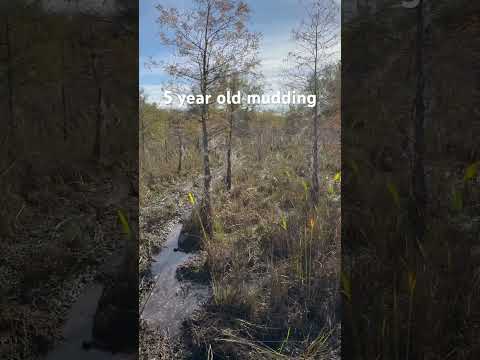 5 year old mudding #mudding #florida #atv#dirtbike