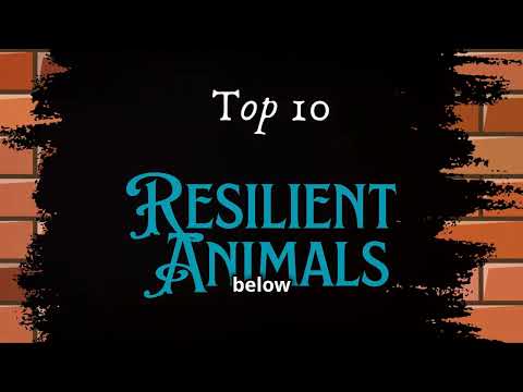 🌟 Top 10 Most Resilient Animals in the World 🐾 Nature’s Toughest Survivors! 💪 🐢