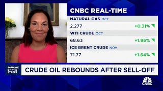 Crude oil to see 'oversupply situation' in 2025, RBC Capital's Helima Croft