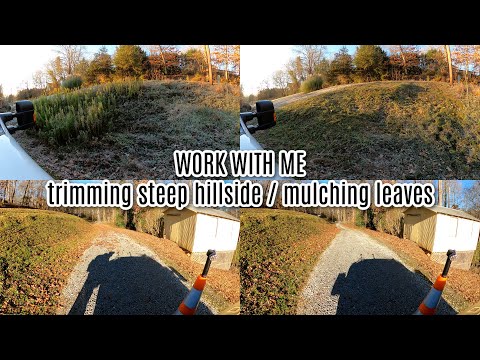 Work with me | Trim a steep hillside | Mulching leaves