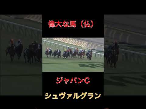 偉大な馬（仏）シュヴァルグラン【ジャパンC】#競馬