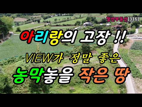 아리랑의 고장!! VIEW가 정말 좋은 농막 놓을 작은 땅 / 정선토지박사