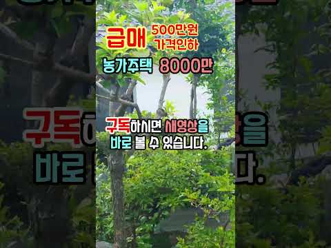 가격인하 500만원 시골집  촌집 전원주택 매매 급매물 충남 공주부동산 행운땅집부동산tv