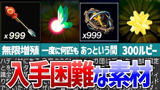 【ブレワイ】入手困難！超レア素材を最も効率的に収集するための秘訣6選