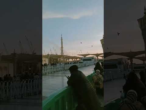 #masjidannabawi#madina #ytshorts #religion #saudiarabia #viralshorts2024 #viralvideo #youtubeshorts