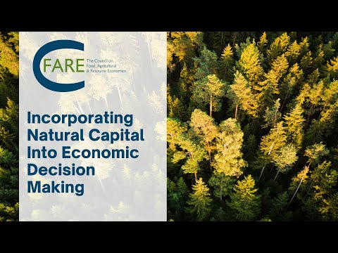 Incorporating Natural Capital Into Economic Decision Making