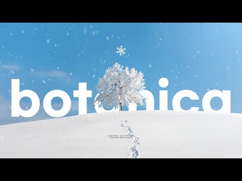 Digital Snowflake - Fresh BOTANICA Music playlist