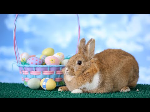 Did You Know: Easter | Encyclopaedia Britannica