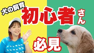 【犬の飼い方】　飼育初心者さんに知っておいてほしいこと！ドッグトレーナーがお話します