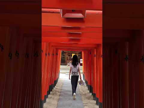 福岡櫛田神社。祈福保佑長壽、生意興隆的博多守護神，參觀巨大壯觀彩飾山笠神轎