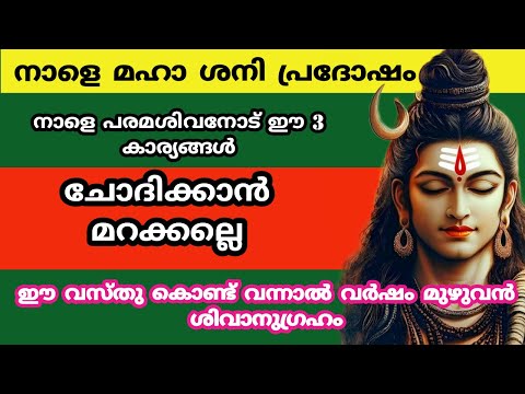 നാളെ മഹാ ശനി പ്രദോഷം... മഹാദേവനോട് ഈ കാര്യങ്ങൾ ചോദിക്കാൻ മറക്കല്ലെ