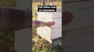 Beginner Guide to Beekeeping: Langstroth Hive Walkthru