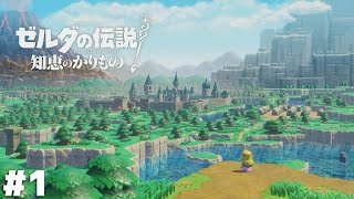 使うのは『カリモノ』の力【ゼルダの伝説 知恵のかりもの】＃１