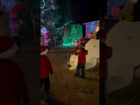 Christmas celebration and decoration in Edmonton Canada part -4 #canada  #indianincanada  #subscribe