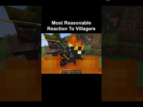 Most Reasonable Reaction To Villagers