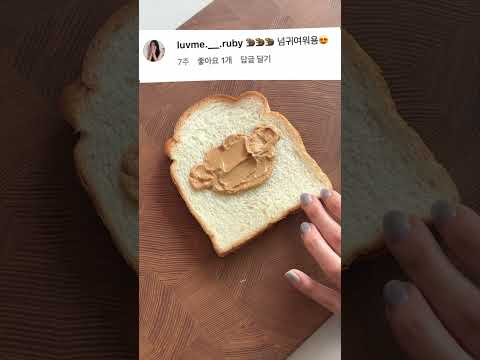 🐶 비숑 땅콩버터 토스트 🍞