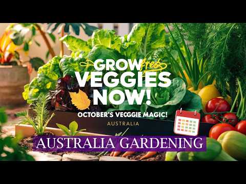 October Veggie Magic: Best Vegetables to Plant Now in Australia! 🌱 | Homegrown Guide